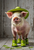 PRB0003  "Oliver" Pig in Rain Boots