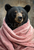 BIT006  "Willow" Bear Wrapped in Blanket