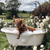 HCT005 "Rosie" Baby Miniature Highland Cow in a Tub of Bubbles