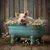 PIT002 "Babe" Pig Chillin' in a Rustic Blue Tub