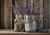 LAV003  Lovely Picture of Lavender  Flowers in Glass Jars