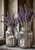 LAV014  Lovely Picture of Lavender  Flowers in Glass Jars