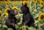 BEAR001 Bear Cubs Playing in a Sunflower Field