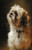 SHI001 "Bella" Shih Tzu