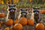 RAC004 Three Raccoons Pumpkin Patch