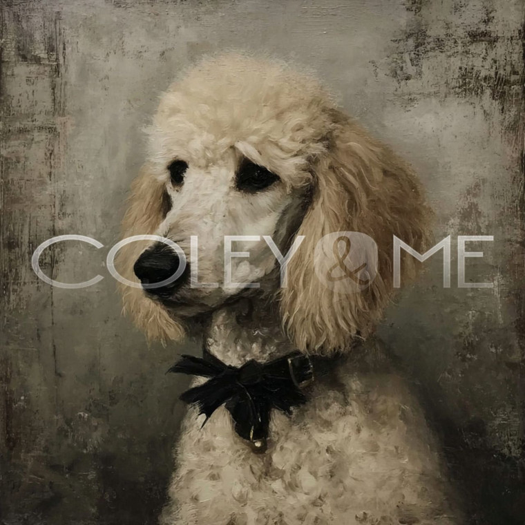 POOD001 "Millie" White Poodle