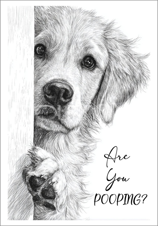 DPOOP002 "Ollie" Golden Retriever Are You Pooping?