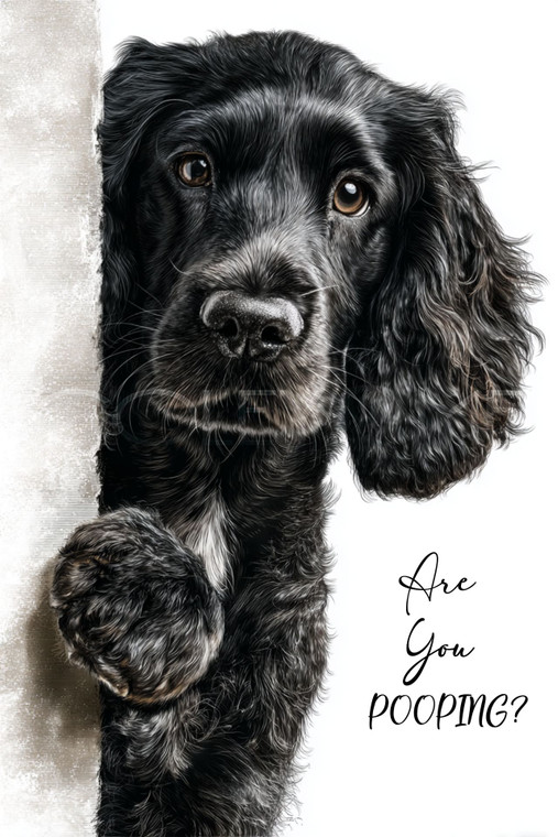 DPOOP021 "Charlie" Are you Pooping?