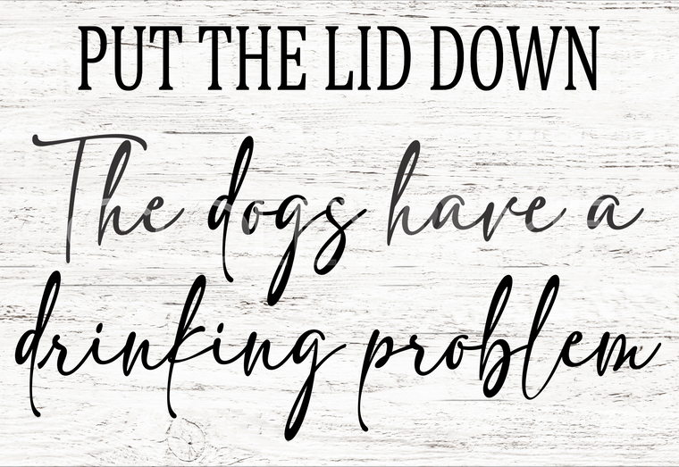 SAY063 Put The Lid Down 2