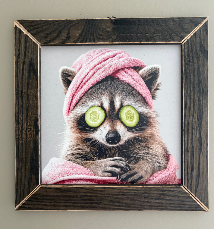 RACS001 "Muffin" Raccoon Spa Day
