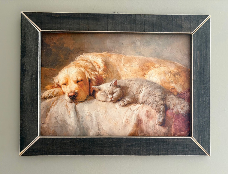 CAT004 Golden Retriever & Cat Snuggling