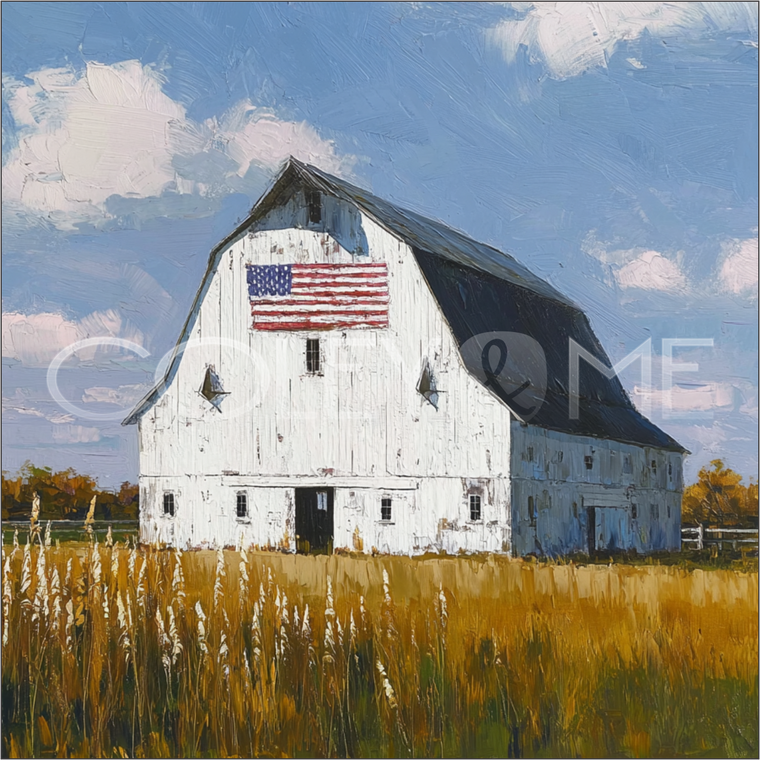 AME019 Barn With American Flag 3