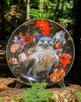 Wall Plate Veluwe Animals Peregrine Falcon - Ceramic - 26 cm