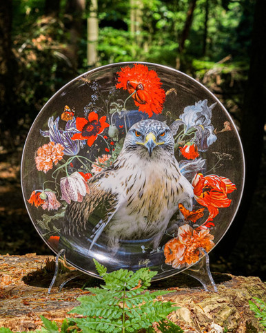 Wall Plate Veluwe Animals Peregrine Falcon - Ceramic - 26 cm