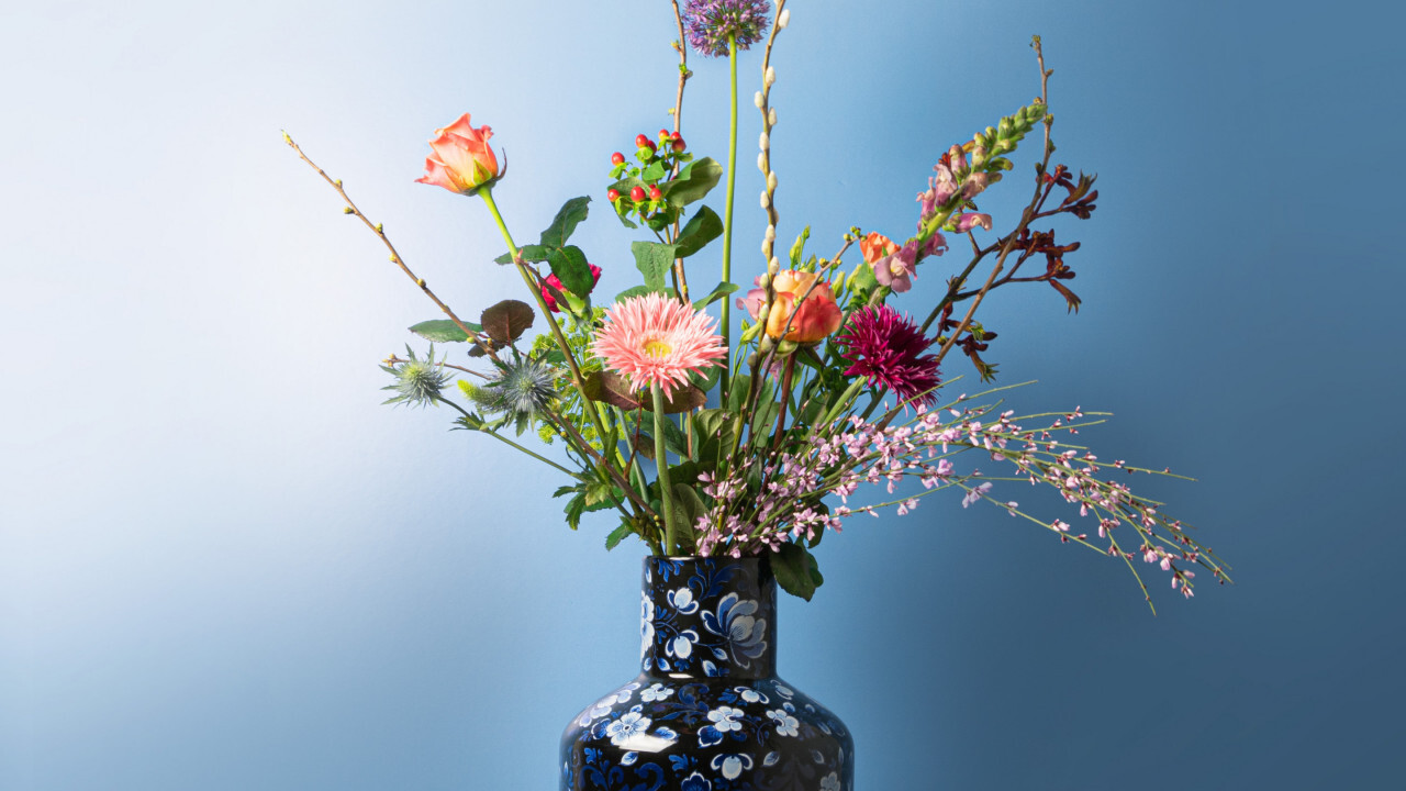 Styling guide: Hoge bolvaas!