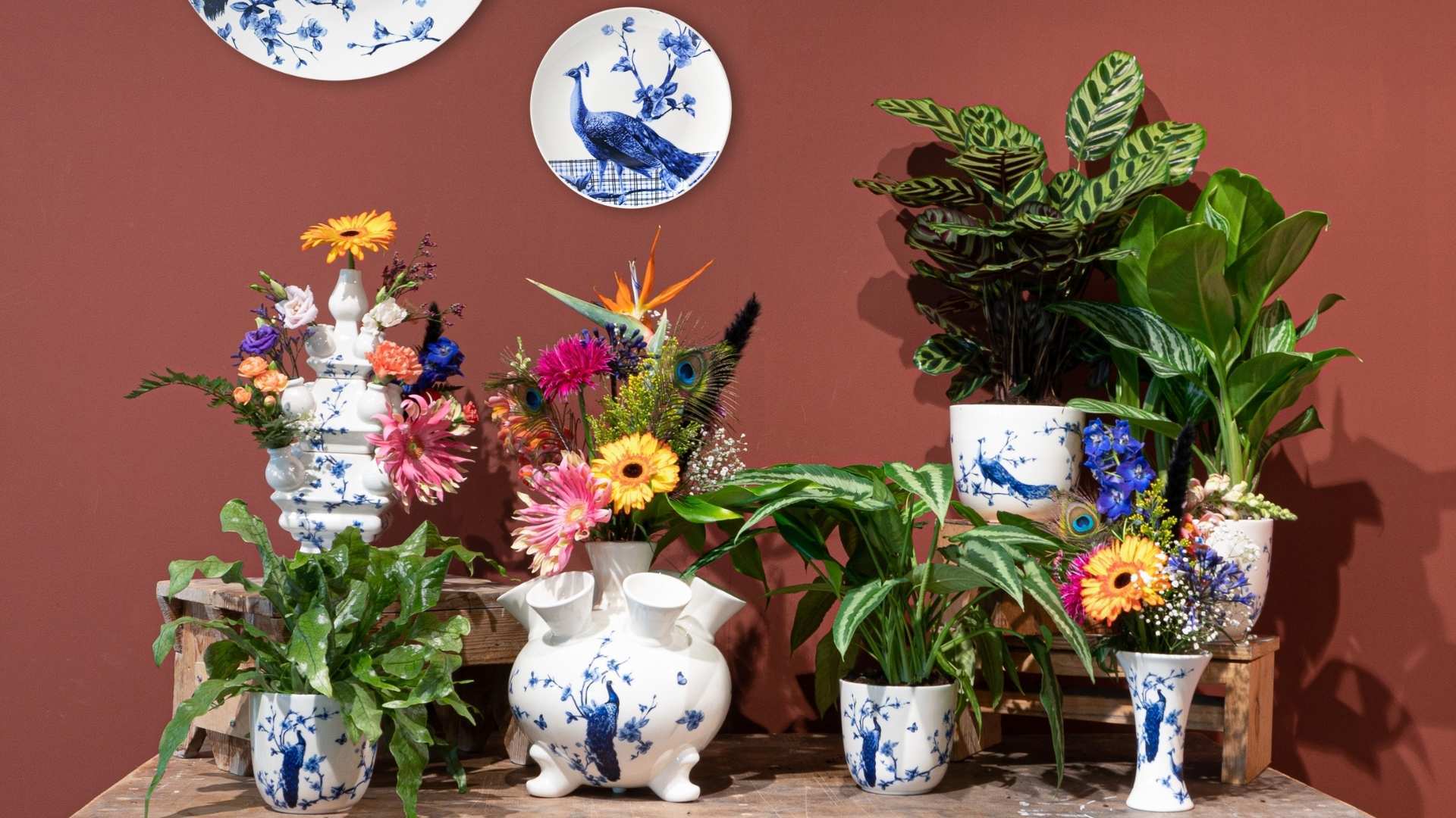 Accountmanager Home & Living/Garden (ervaren) 