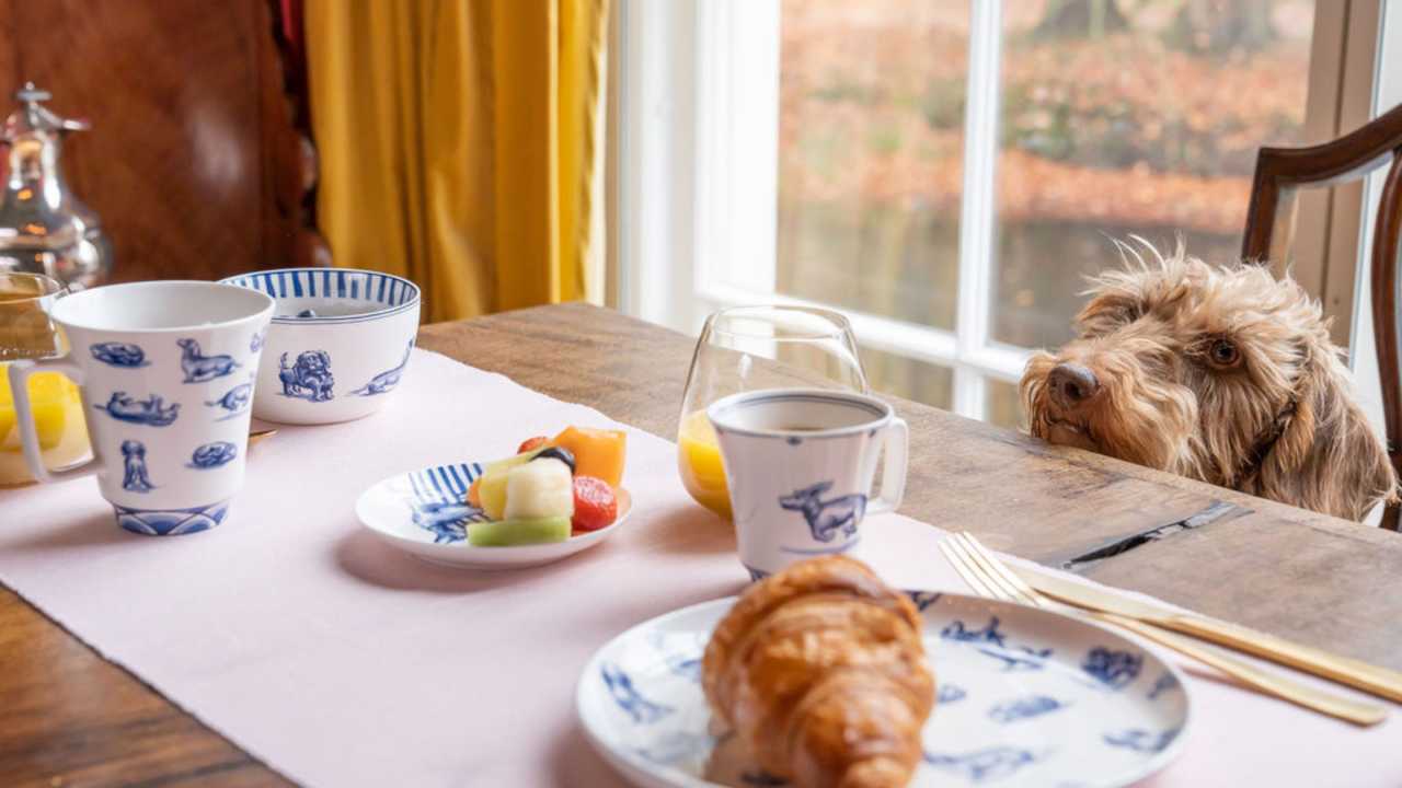 Ontmoet Nhaan, de ster op het nieuwe servies van Janny van der Heijden!