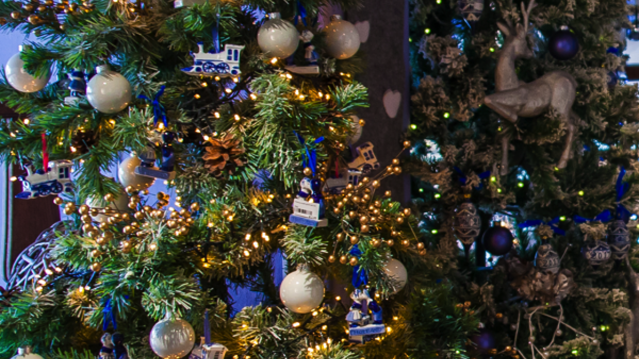 hollandse-verrassing-blog-1.png hollandse-verrassing-blog-1.png