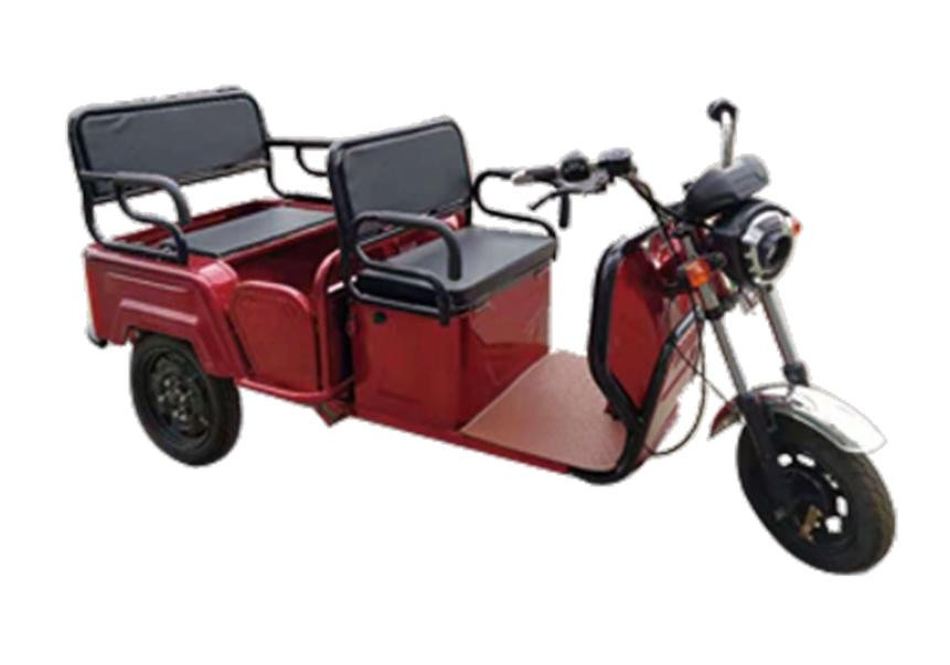 Pushpak 6000 2-Person Electric Trike Recreational Scooter