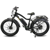 Electric Bikes