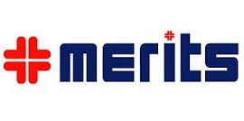 Merits USA Mobility