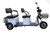 PushPak Motors Pushpak 4000 2-Person Electric Trike Recreational Scooter 