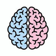 Enhancing Brain Function: The Transformative Power of Exercise