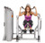 Hoist RS-2601 Abdominal Machine PLEASE CALL FOR COMMERCIAL PRICING