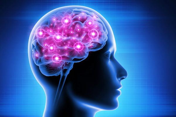 How Exercise can affect brain function
