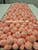 STRAWBERRY SALT WATER TAFFY FREEZE 12   32 OZ CONTAINERS
