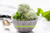 MINT CHOCO CHIP  ICE CREAM SCOOPS BAGS