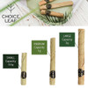 Choice Leaf Palm Cones