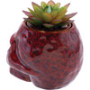 Fujima Skull Planter Ceramic Stash Jar - 4.5" / Red