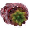 Fujima Skull Planter Ceramic Stash Jar - 4.5" / Red