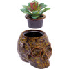 Fujima Skull Planter Ceramic Stash Jar - 4.5" / Yellow