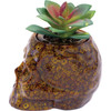 Fujima Skull Planter Ceramic Stash Jar - 4.5" / Yellow