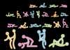 Glow In The Dark Wall Stickers - 50pk / Kama Sutra / Assorted Colors