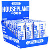 HOUSEPLANT by OCB Cone Classic 1 1/4, 6 Cones per Pack, 32 Packs per Display