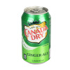 Soda Can Diversion Stash Safe - 12oz/Canada Dry Ginger Ale