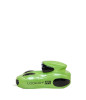 Lookah FF1 Race Car Variable Voltage 510 Vape Battery -500mAh/6CT DISPLAY/Neon Green
