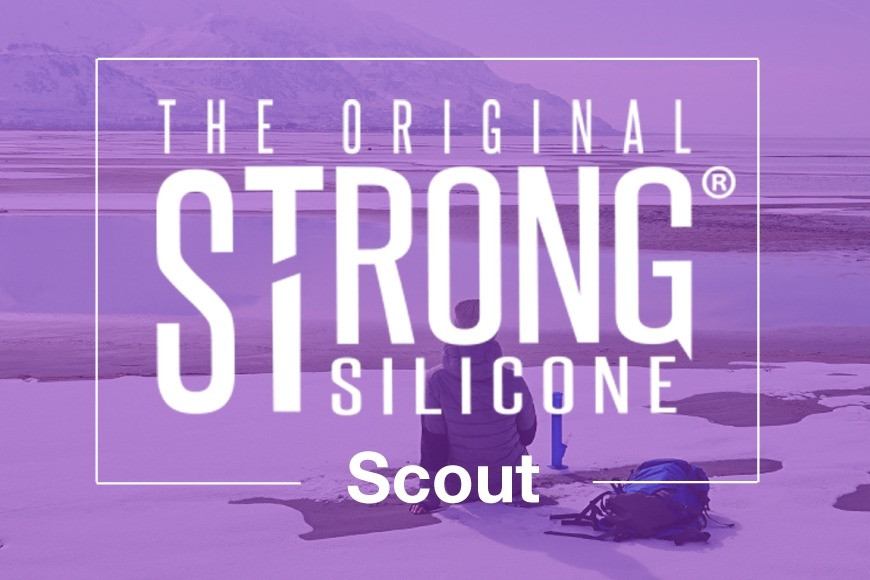 The Search is over...