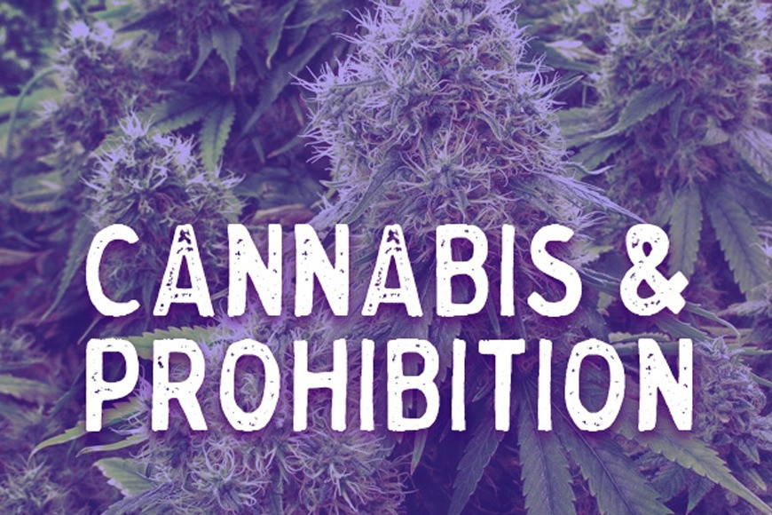 Cannabis & Prohibition