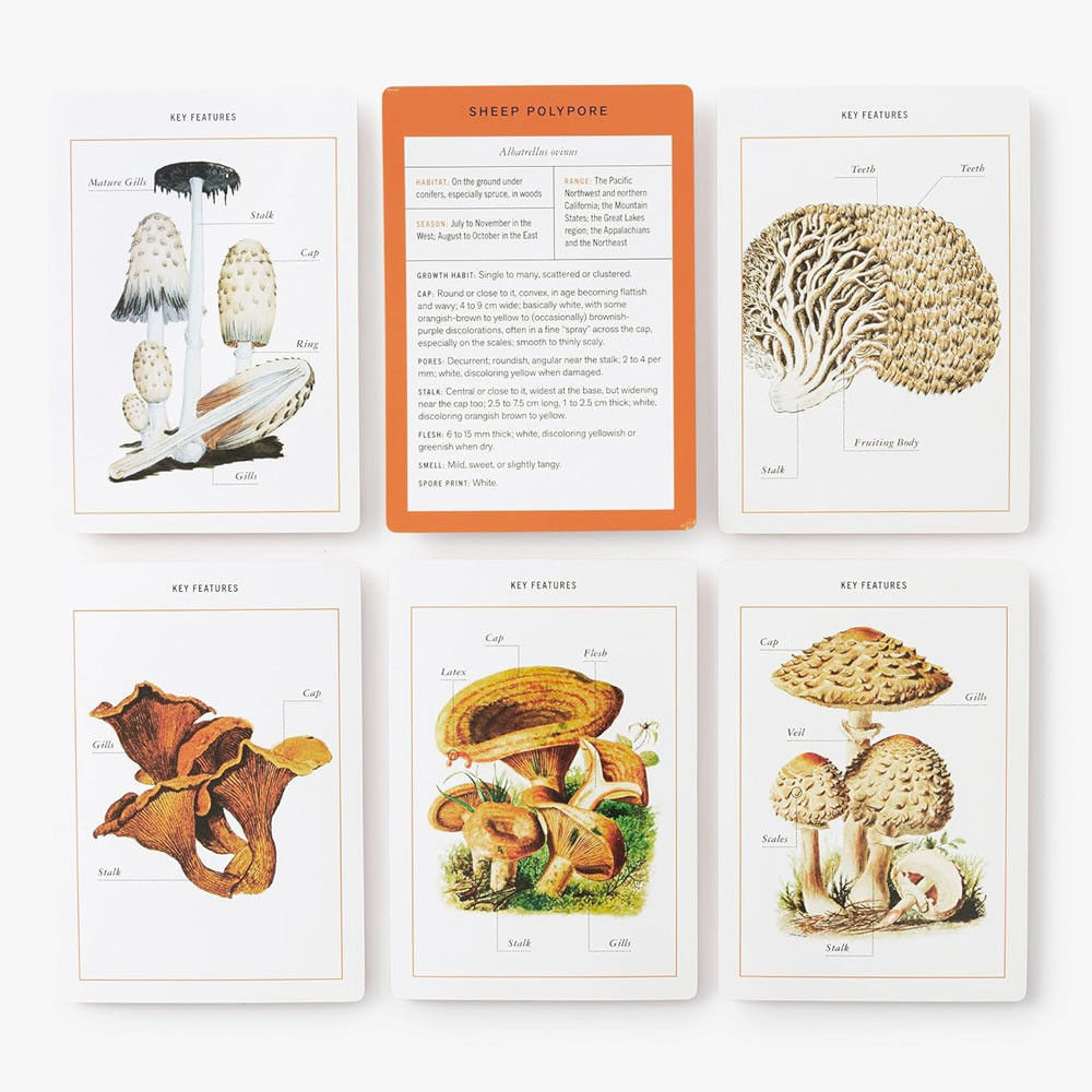 New York Botanical Garden Mushroom Identification Flashcards 100