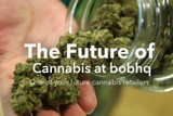 Introducing Your future Cannabis retailers.