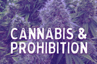 Cannabis & Prohibition