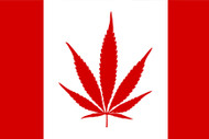 Canadian Cannabis