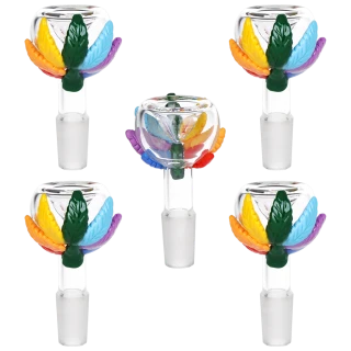 5ct Pride Leaf Glass Herb Slide Bundle- 14mm M