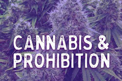 Cannabis & Prohibition