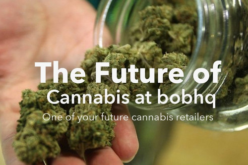 Introducing Your future Cannabis retailers.