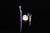 5ct Pulsar Concentrate Atomizer Bullet  Display- 2pk